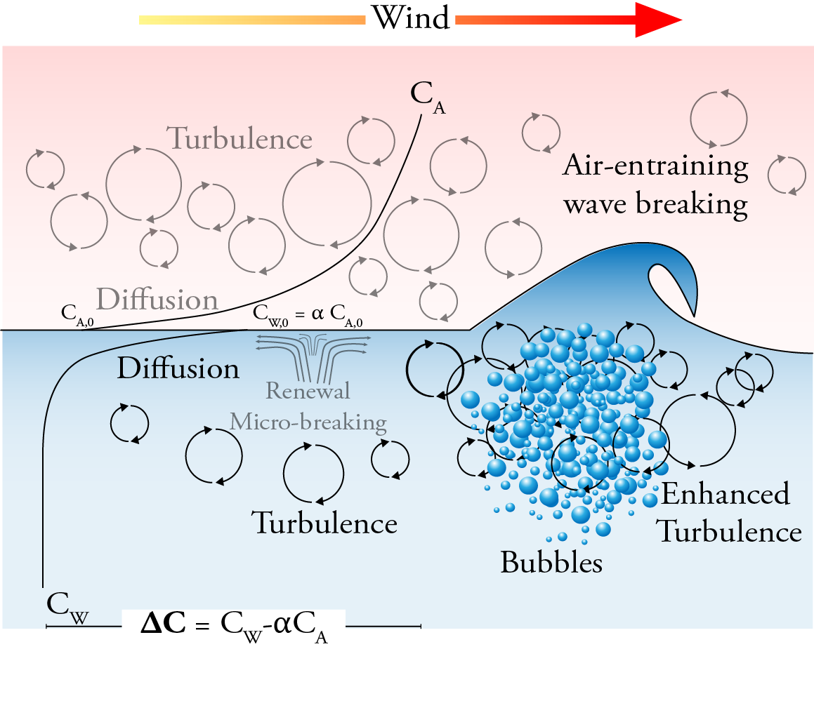boundary layers at the air-sea interface and processes relevant to gas transfer